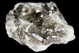 Wide, Smoky Quartz Crystal Cluster - Brazil #104025-5